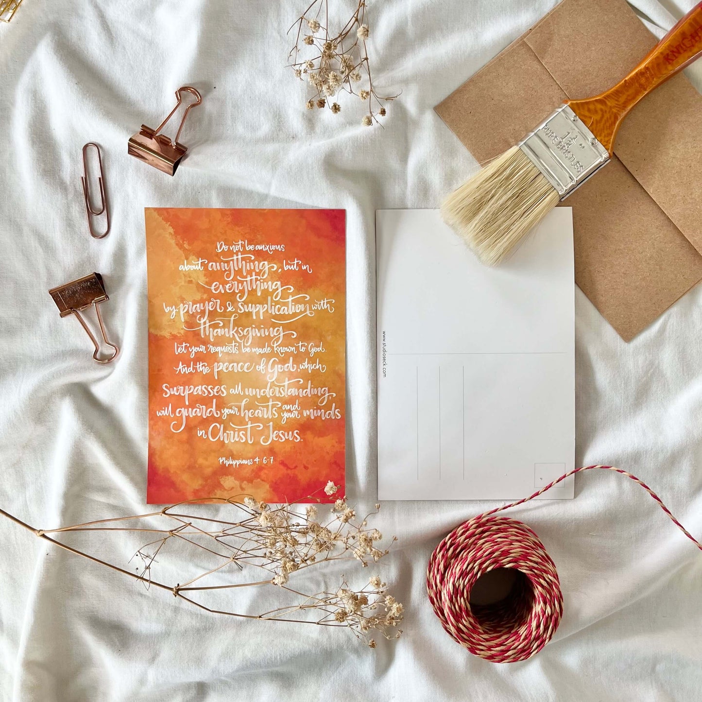 Coloured Postcards | Set of 8