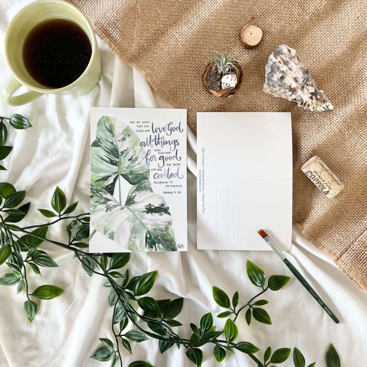 Postcards of COMFORT | Set of 6