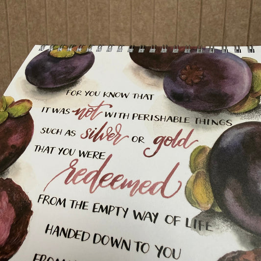 Mangosteen botanical illustration inspired by 1 Peter 1:18-19 about Jesus’ sacrifice