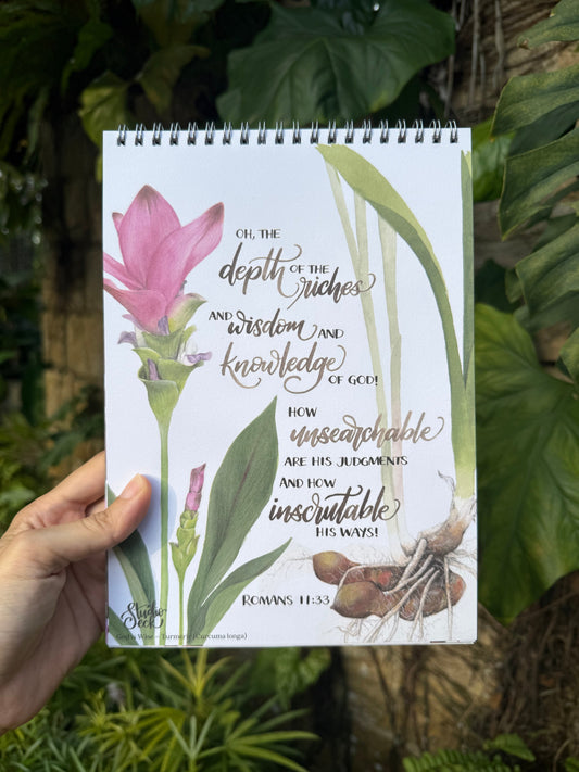Turmeric botanical illustration inspired by Romans 11:33 about God’s wisdom