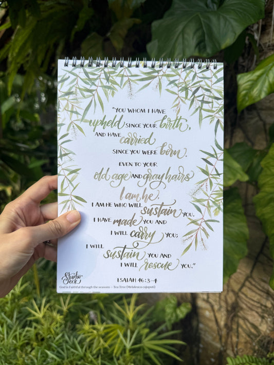 Melaleuca tea tree botanical illustration inspired by Isaiah 46 about God’s faithfulness through life