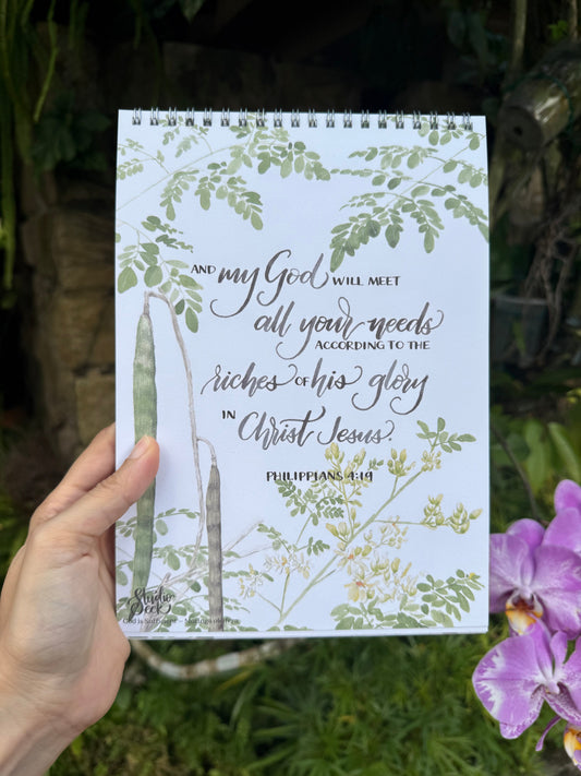 Moringa botanical illustration inspired by Philippians 4 about God’s provision and sufficiency