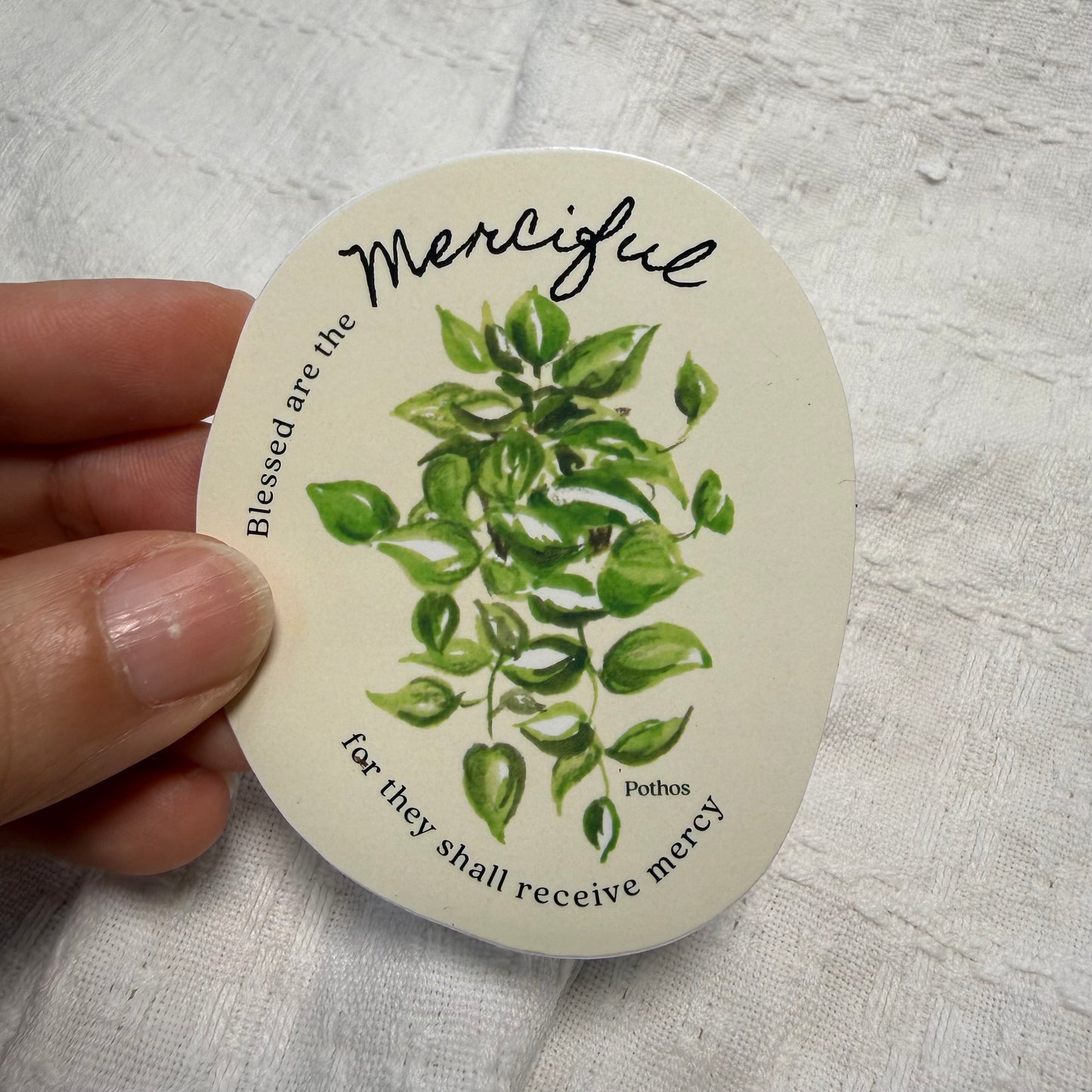 Sticker: Merciful | Pothos - Studio Seck