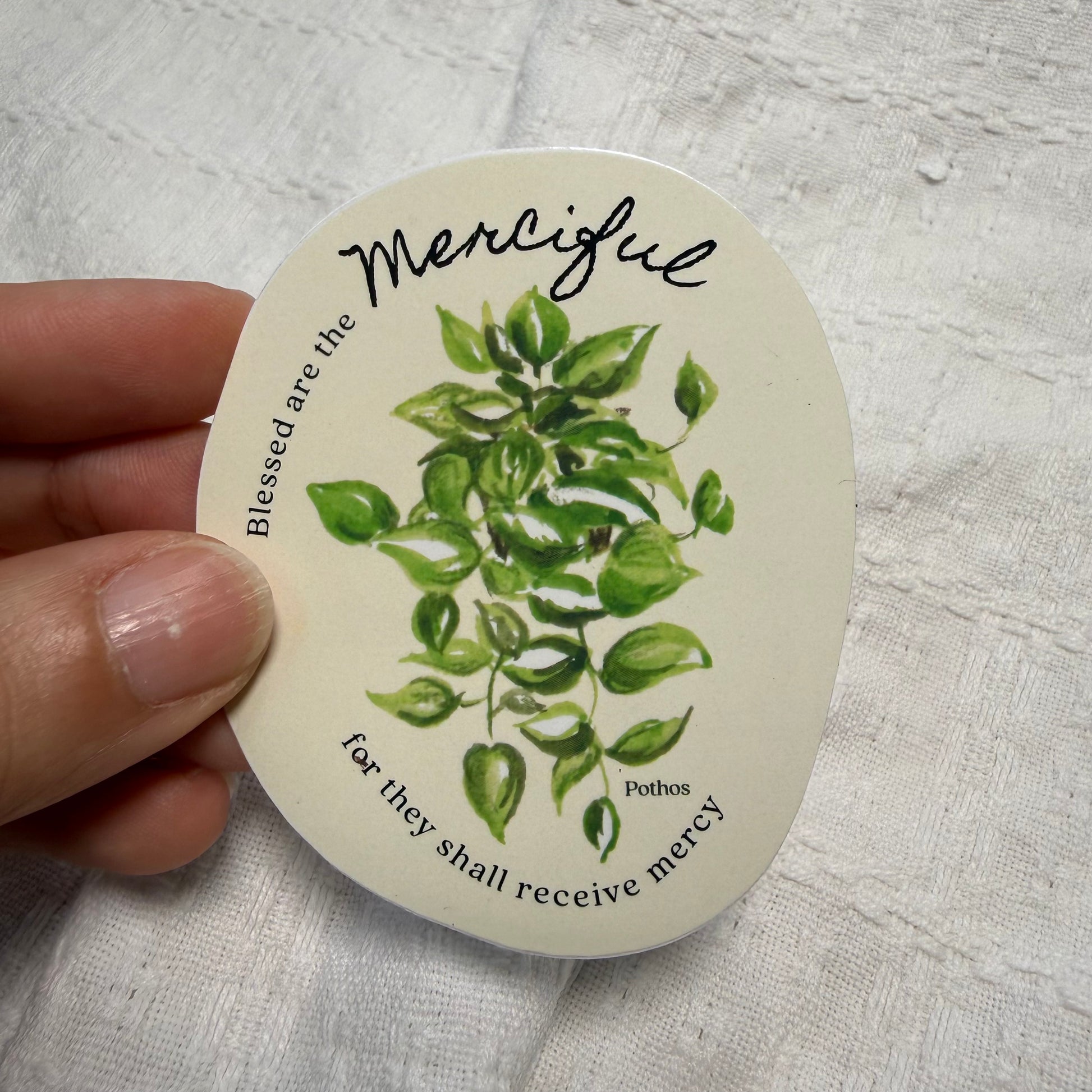 Sticker: Merciful | Pothos - Studio Seck