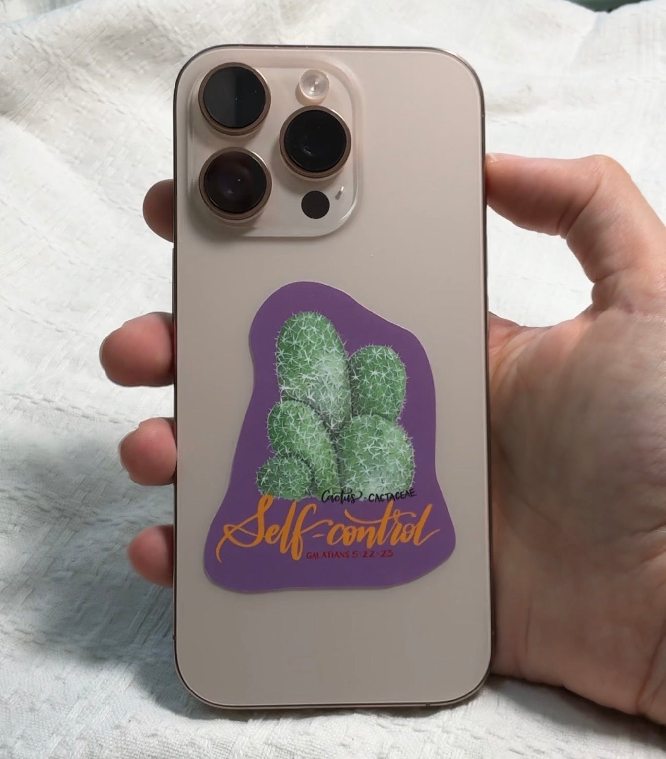 Sticker: Self-Control | Cactus - Studio Seck