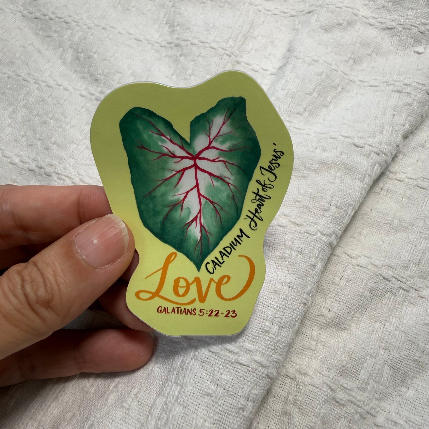 Love | Caladium (Heart of Jesus) - Studio Seck